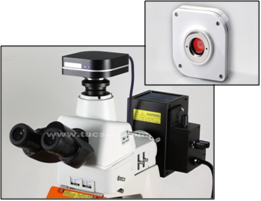 Discovery CCD Series