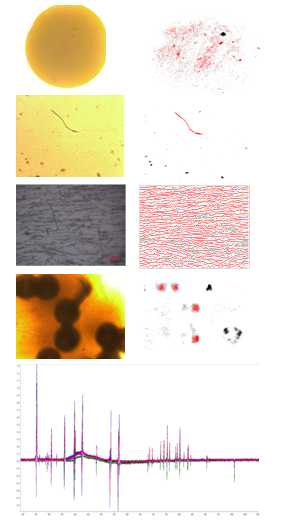 LAb-robot applications plastics particle size fiber food microorganisims oil inspection