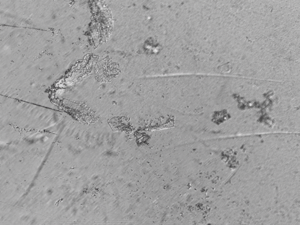 Automatic technology for characterization gels in plastic films example