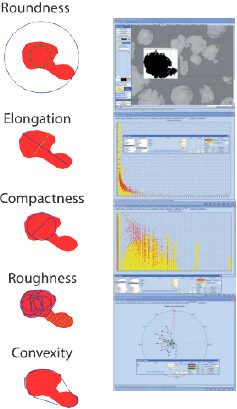 Microptik Dimic particles/defects counting