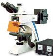 Microptik Fluorescence microscopy