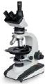 Microptik Polarization microscopy
