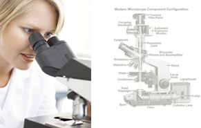 Microptik Optical microscopy